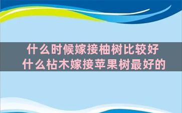 什么时候嫁接柚树比较好 什么枮木嫁接苹果树最好的